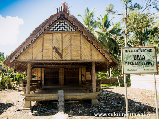 Traditional Mentawai Uma built for the community in Maileppet village