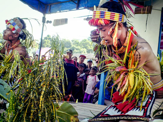 Yayasan Pendidikan Suku Mentawai initiated a Cultural Performance Festival on Siberut Island